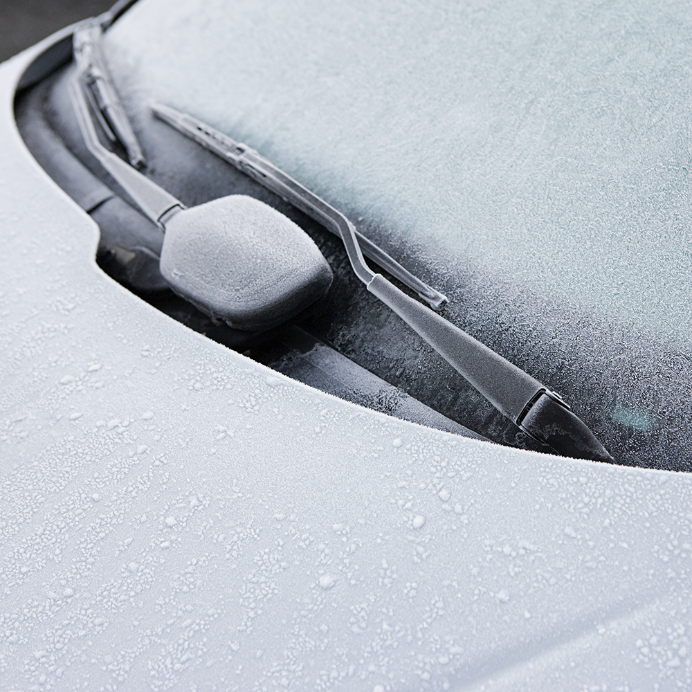 NPY TUULILASINPESUAINE -55 °C